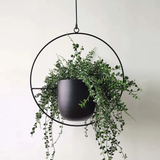 Yeknu Sleek Luxury Modern Hanging Pots