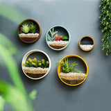 Yeknu Sand Art Wall Planters Box