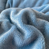 Yeknu New Thick Milk Fleece Warm Blanket for Winter Artificial Lamb Cashmere Duvet Comforter Soft Warmth Weighted Blankets Quilt Core