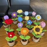 Yeknu Crochet Potted Mini Flowers