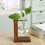 Yeknu Terrarium Flask Planter Vase