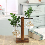 Yeknu Terrarium Flask Planter Vase