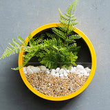 Yeknu Sand Art Wall Planters Box