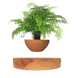 Yeknu Levitating Air Bonsai Pot Rotation Flower Pot Planters Magnetic Suspension Floating Pot Potted Plant Home Without plants